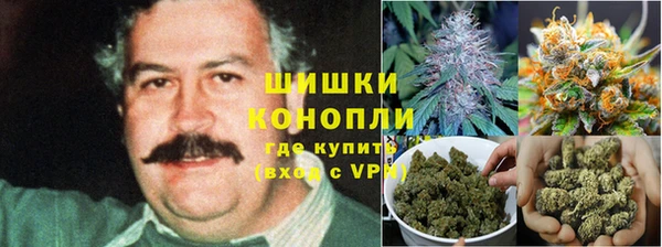 эйфоретик Богданович